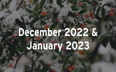 December 2022/January 2023 Calendar