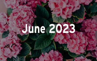 June 2023