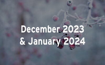 December 2023/January 2024 Calendar