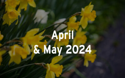 April/May 2024 Calendar