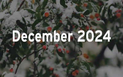 December 2024