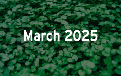 March 2025