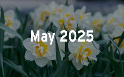 May 2025