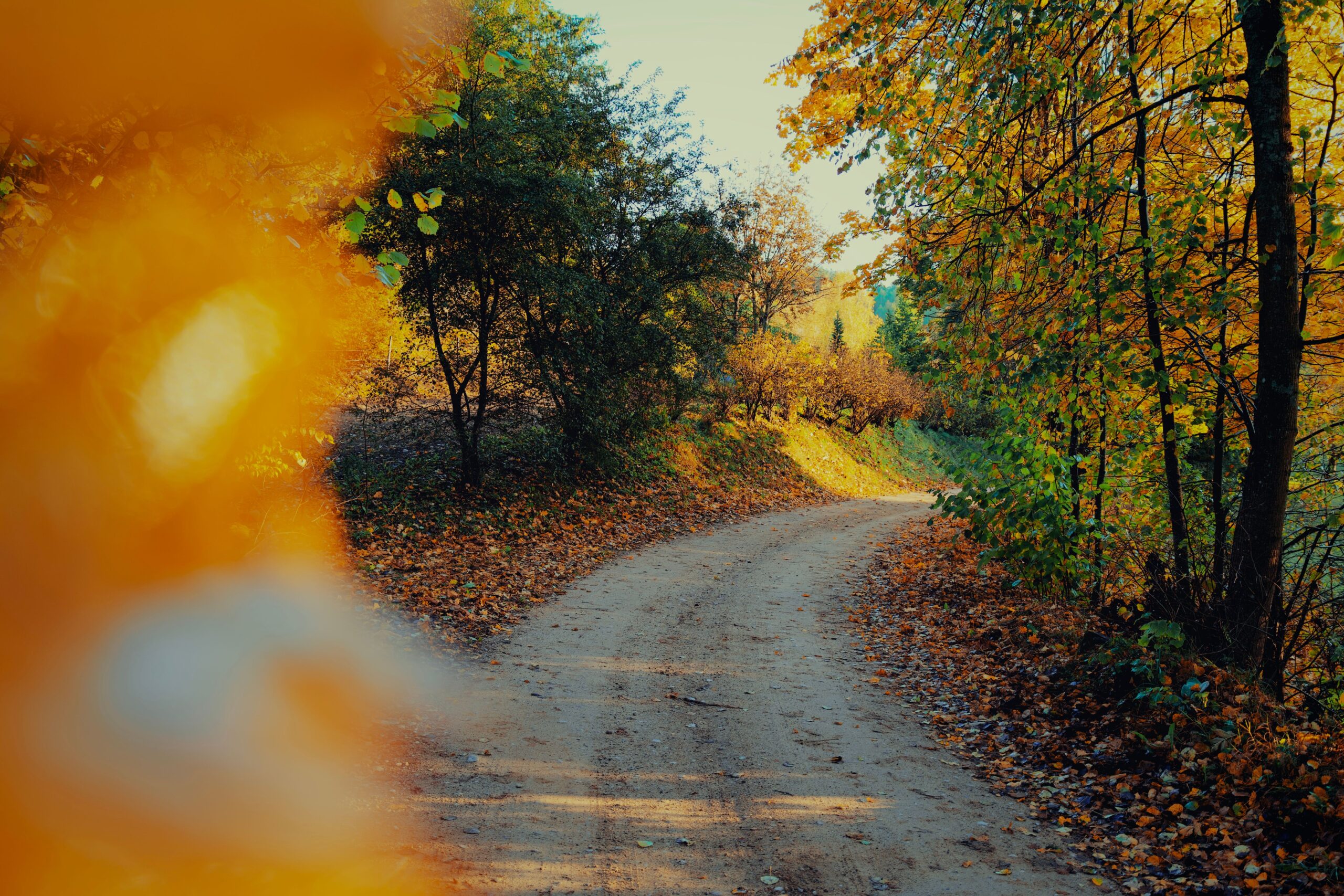 fall pastor note